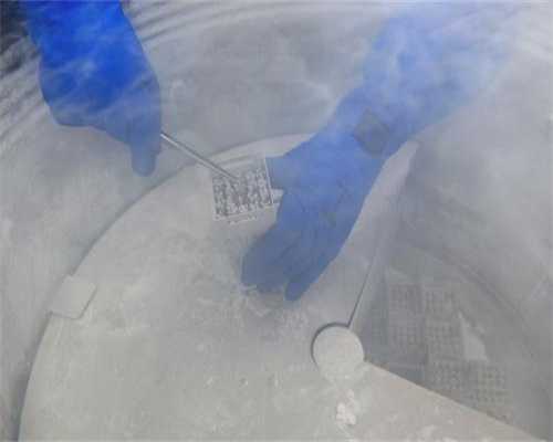 探秘温州地区失独家庭的助孕与网络赌球陷阱:一份深度解析